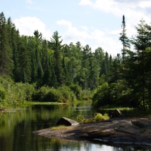 algonquin provincial park 1748100