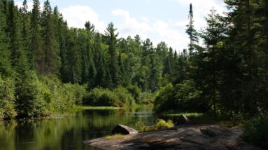 algonquin provincial park 1748100