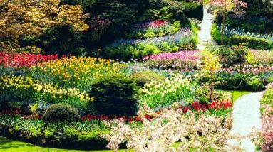 butchart gardens 5144190 1280