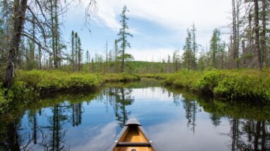 Photo Algonquin Park