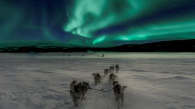 Photo "Aurora Over Ontario: Chasing Northern Lights in Provincial Parks"