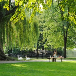 Photo "The Heart of Montreal: Experiencing the Serenity of Mount Royal Park"