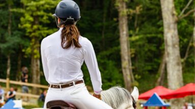 Photo Jumping to New Heights: Discovering the Equestrian Excellence of Calgary's Spruce Meadows