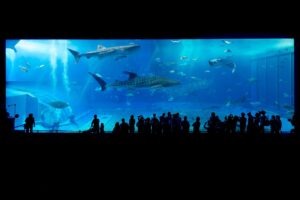 aquarium 725798 1280