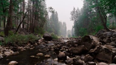 Photo Yosemite National Park